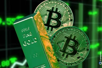 Bitcoin and gold line up as top outperformers in 2024