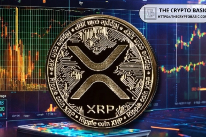 Expert Pledges Never to Touch XRP Again; Here’s Why