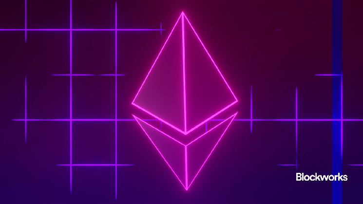 A chain for every app is the new crypto meta