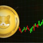 Shiba Inu Analyst Warns of SHIB Price Drop as Shibarium Adoption Collapses, Points to $0.03 Altcoin for 5000x Gains