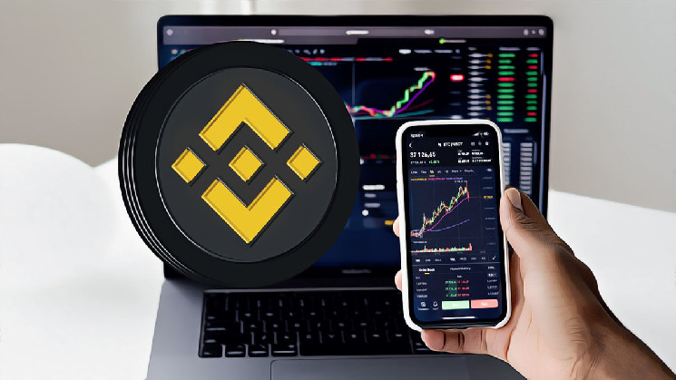 Binance Converts Altcoins to USDC Successfully