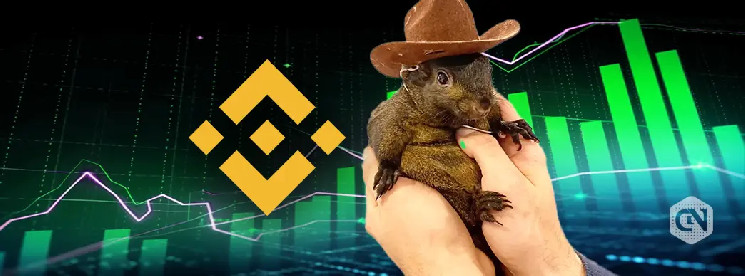 Binance Lists Solana Memecoins ACT and PNUT Today.