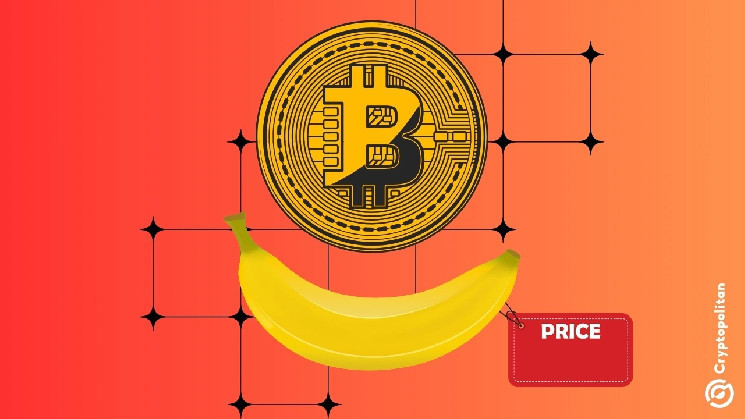 Bananas, Bitcoin, and the rise of useless luxury that’s all about the price tag