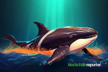 Crypto Whale Bets $8.8M on Trump’s 2024 Election Win as Odds Rise to 67%