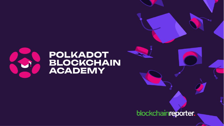 Polkadot Blockchain Academy Launches PBA-X to Train Web3 Professionals