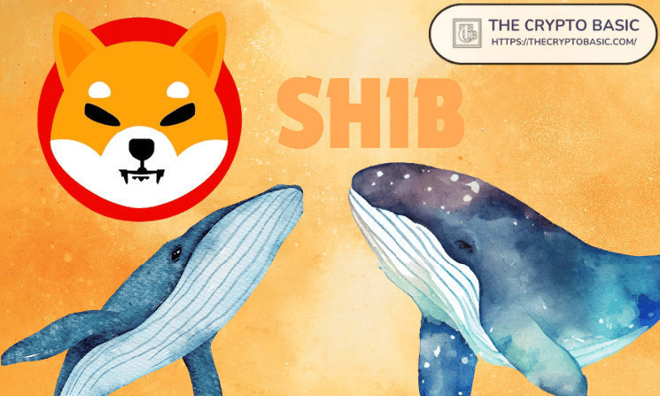 Shiba Inu Lead Reacts as Whale Turns $10K in SHIB to $2.5B and Continues to Hold Since Launch