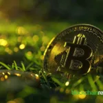 AILayer Collaborates with Taker Protocol to Transform the Bitcoin Ecosystem