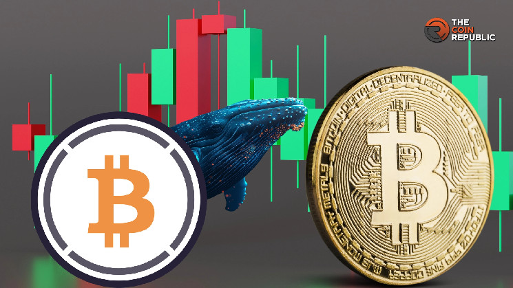 Whales Dumping WBTC For Profits Ahead Of BTC’s Pump