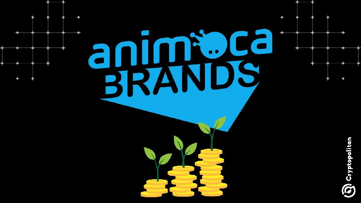 Animoca Brands invests in Igloo Inc to boost consumer NFT activity