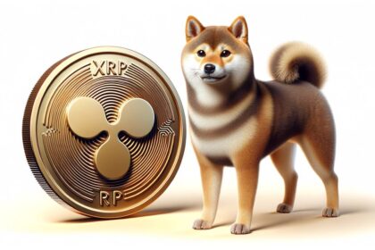 Shiba Inu