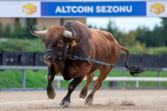 Analysis Company Announces Bitcoin Forecast, Gives Good News of Rally for Altcoins!