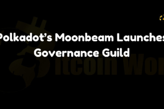 Polkadot’s Moonbeam Launches Governance Guild