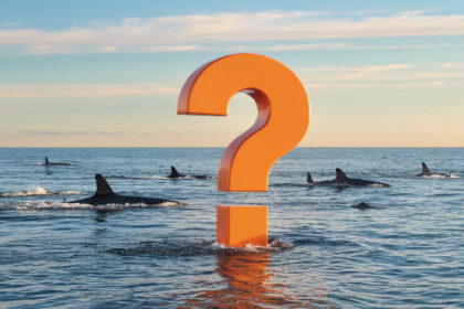 Giant Whale Turned $26 Into $61.5 Million With This Altcoin Investment! But He Can't Sell It! Here's Why!