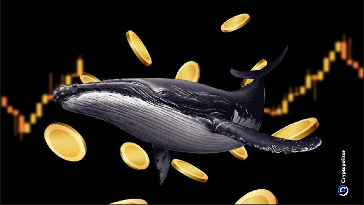 Crypto whale points to new DeSci trend with biotech token gains