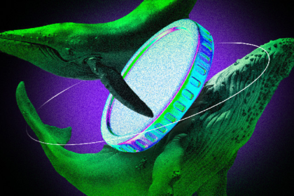 Crypto Whales Bought These Altcoins in the Fourth Week of October 2024