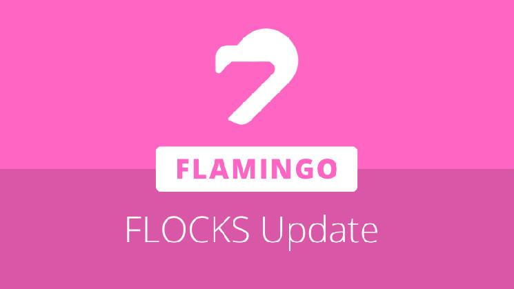 Flamingo prepares for FLOCKS launch with FLUND migration adjustments