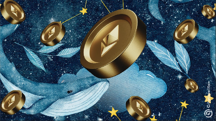 Whales continue to accumulate Ethereum since prices broke $3,330