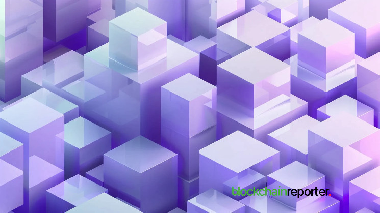ZNS Connect Partners with Form Network to Revolutionize On-Chain Interactions
