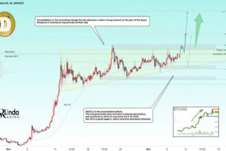 Dogecoin price rally 1