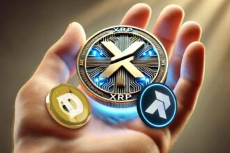 XRP Price Vs. Dogecoin Vs. RCO Finance: Which Token Will Deliver The Highest ROI By 2025