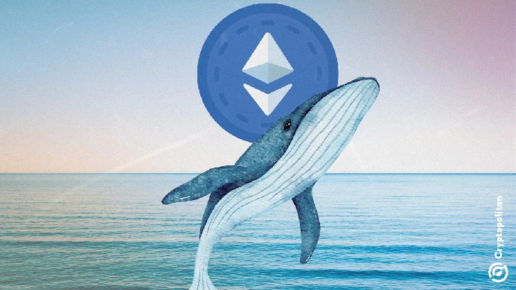 Ethereum price drop forces whales to sell ETH in millions to repay debts