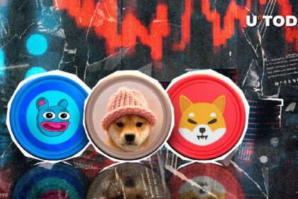 Top Meme Coins Losing Steam in Last Days of 2024