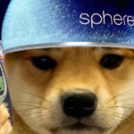 Solana Meme Coin Dogwifhat Gains Double Digits Amid Las Vegas Sphere Speculation