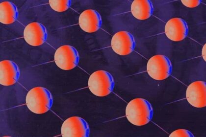 Movement Labs Unveils Developer Mainnet Ahead of February's Public Launch