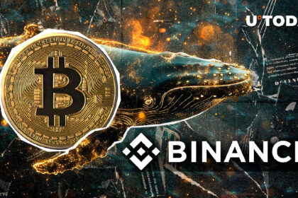 1,850 Bitcoin Stun Binance in Surprising Whale Move: Details