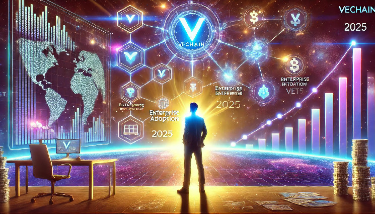 VeChain Founder Eyes 2025 Milestones to Boost VET Ecosystem and Value