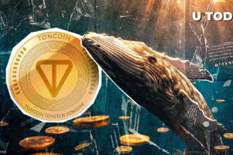 Toncoin (TON) Surges 80% in Whale Activity as Market Faces Selling at Year's End