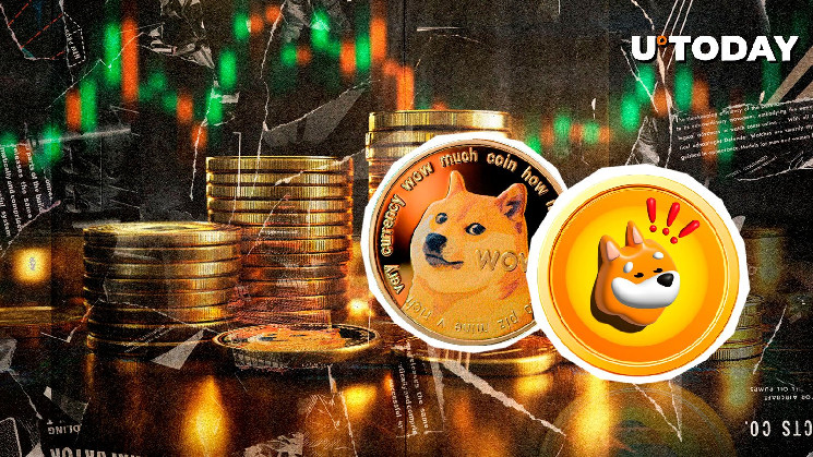 Dogecoin (DOGE) Second Best Performer in Top 100, Bonk (BONK) Follows