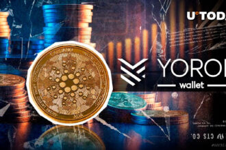 Сardano's Yoroi Wallet Version 5.0: What Changed?