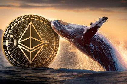 Ethereum Whales Keep Accumulating as ETH Price Approaches $3,500