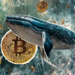 Massive Dormant Bitcoin Whale Awakens After 6 Years: Details