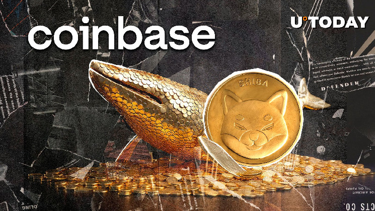 Coinbase Stunned by Mysterious 151,942,008,799 Shiba Inu (SHIB) Transfer