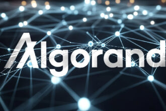 Algorand Foundation wants DOGE to adopt its blockchain for government overhaul