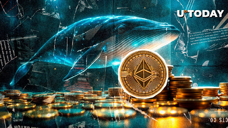 Over 4,000 Wallets Now Own at Least 10,000 Ethereum, Whales Buying Dip?