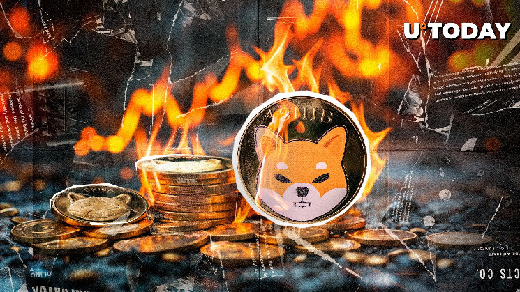 SHIB Burns Skyrocket 1,190% As Unusual Whale Activity Rises