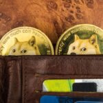 Is ChowWow Presale Set to Become the Next Big Memecoin After Dogecoin?