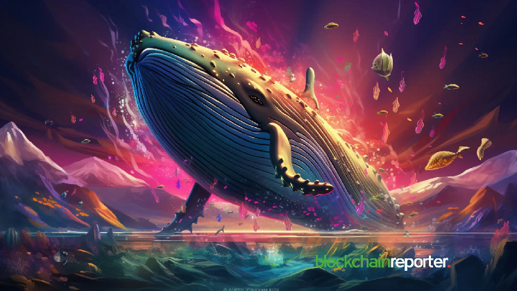Whale Exits With Multi-Million Dollar Loss