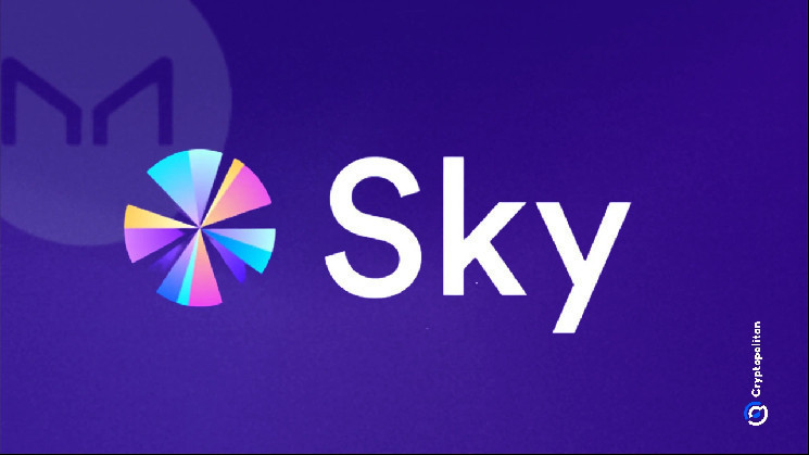 Sky governance vote raises savings rate to 8.75%
