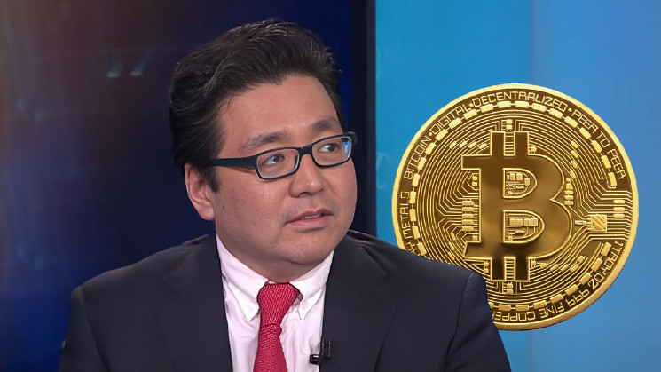 Bitcoin Predicted to Outperform Gold in 2025 by Tom Lee