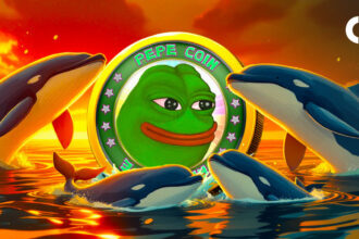 “Winning” PEPE Whale Buys More as Binance Wallet Sees Heavy Traffic