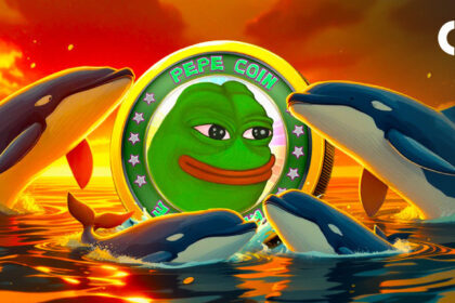“Winning” PEPE Whale Buys More as Binance Wallet Sees Heavy Traffic
