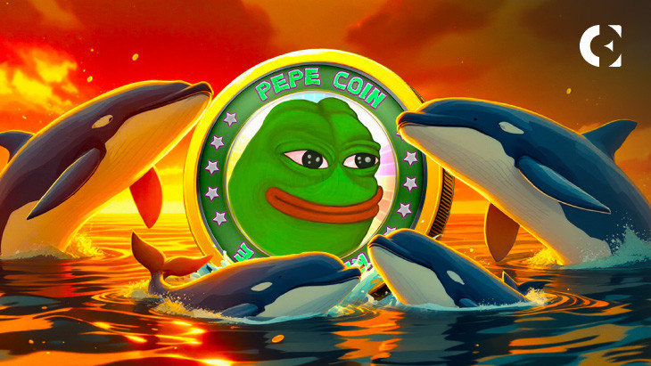“Winning” PEPE Whale Buys More as Binance Wallet Sees Heavy Traffic