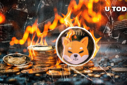 Key SHIB Metric Skyrockets 49,552% As Millions of SHIB Locked Up Forever