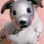 Sony’s Aibo Robot Dog Is Back—In Ethereum NFT Form
