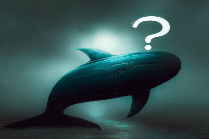 Mysterious Giant Whale Known As 50X ETH Whale Closed His Bitcoin Position With Profit! Now He Started Buying This Altcoin! – ZachXBT Warned!