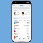 Crypto wallet integrated with Telegram introduces crypto trading and yield features